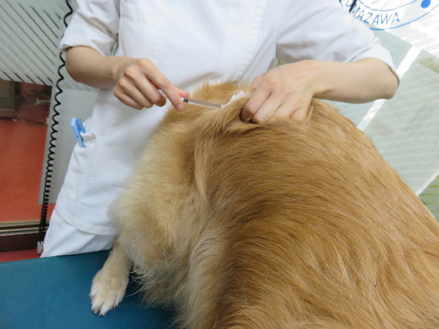 ファイル 4405-3.jpg