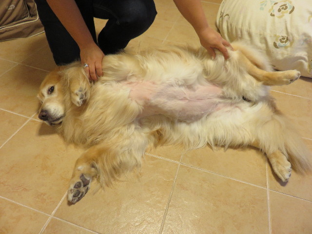 ファイル 4405-4.jpg