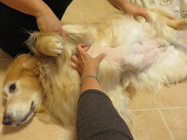 ファイル 4405-5.jpg