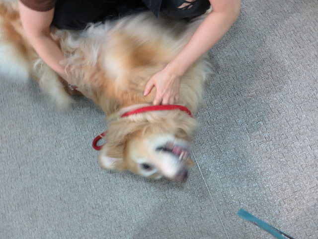 ファイル 4406-1.jpg