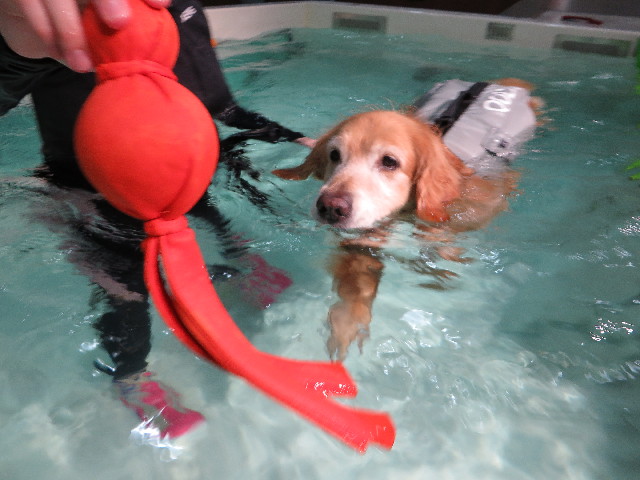 ファイル 4406-3.jpg