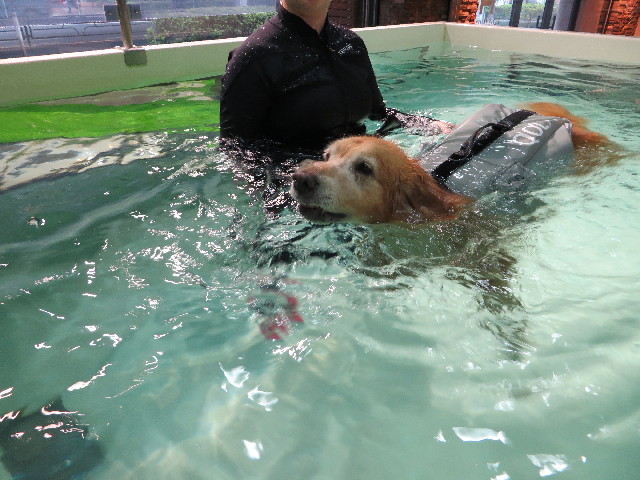 ファイル 4406-5.jpg