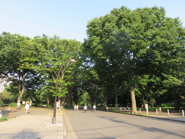 ファイル 4408-1.jpg