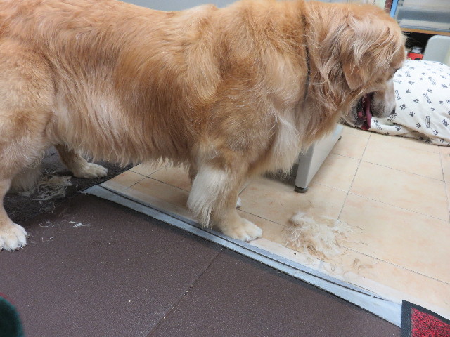 ファイル 4408-2.jpg