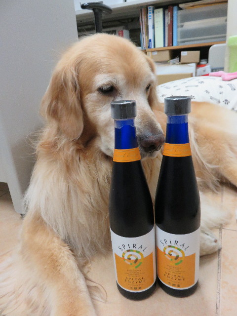 ファイル 4408-4.jpg