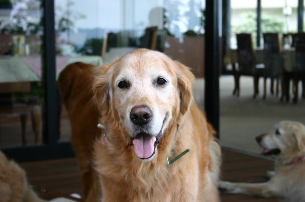 ファイル 441-2.jpg