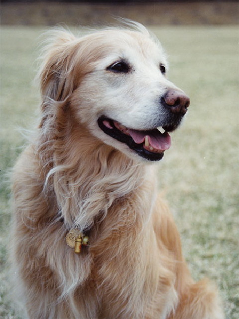 ファイル 441-3.jpg