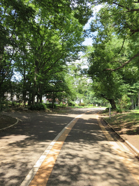 ファイル 4410-1.jpg