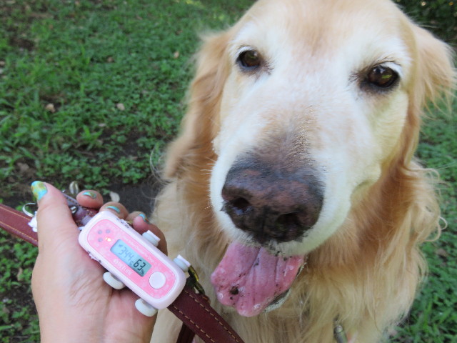 ファイル 4410-3.jpg