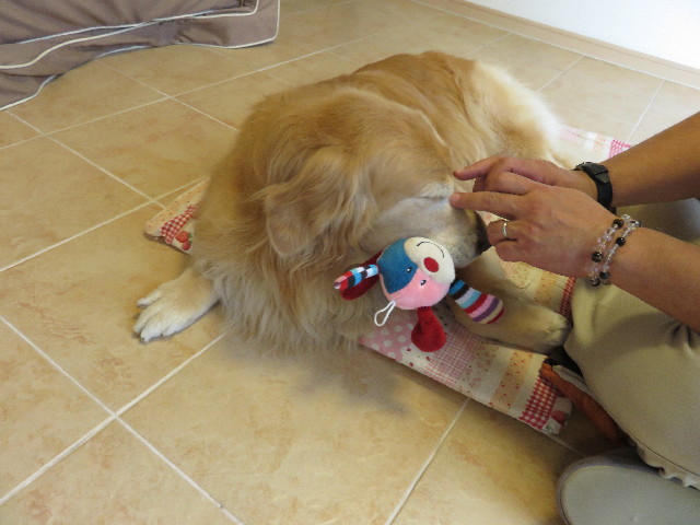 ファイル 4414-3.jpg