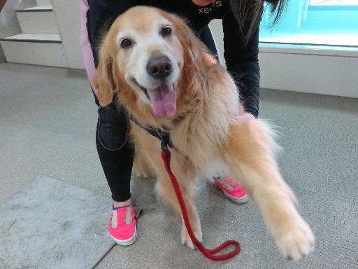 ファイル 4416-1.jpg