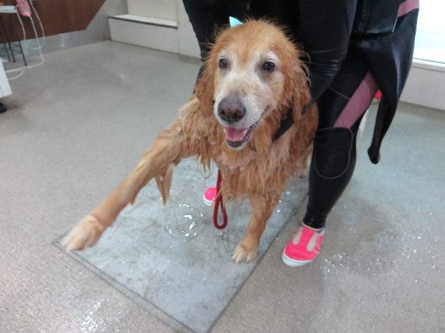 ファイル 4416-4.jpg