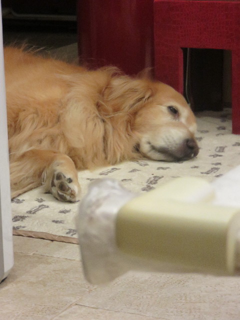 ファイル 4419-4.jpg