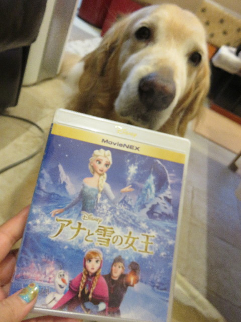 ファイル 4419-5.jpg