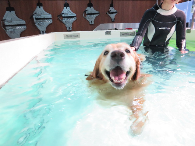 ファイル 4420-1.jpg