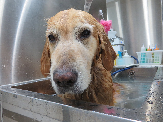 ファイル 4420-5.jpg