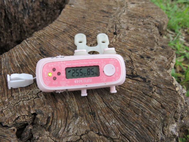 ファイル 4423-3.jpg