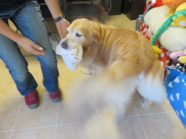 ファイル 4423-4.jpg