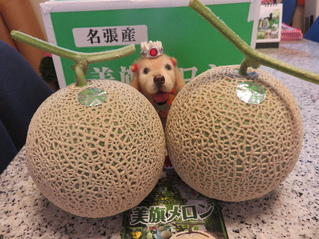 ファイル 4424-1.jpg