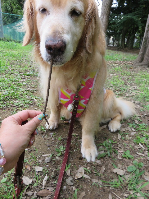 ファイル 4424-4.jpg