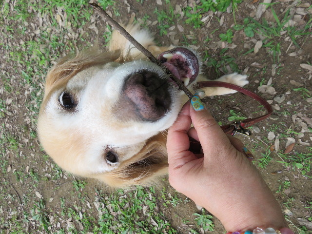 ファイル 4424-5.jpg