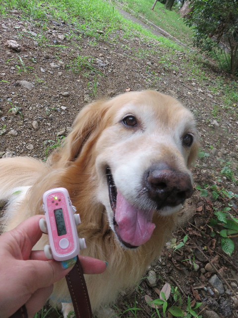 ファイル 4425-1.jpg