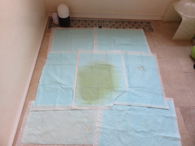 ファイル 4425-2.jpg