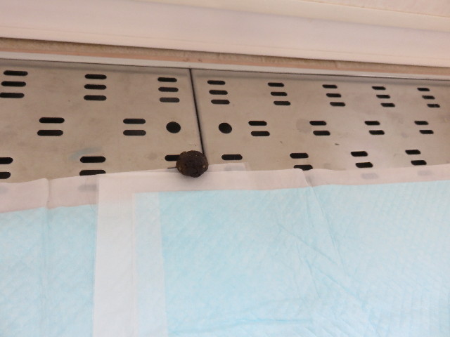 ファイル 4425-3.jpg