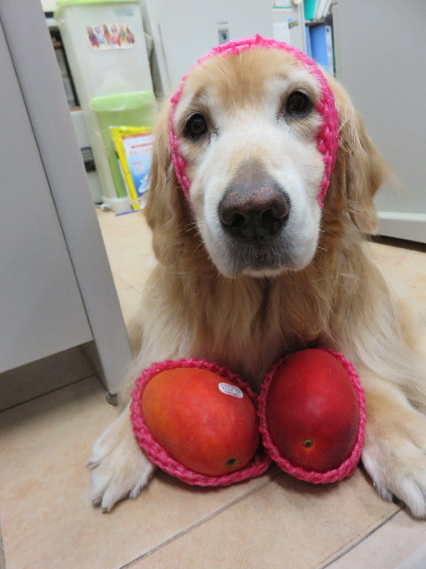 ファイル 4425-5.jpg