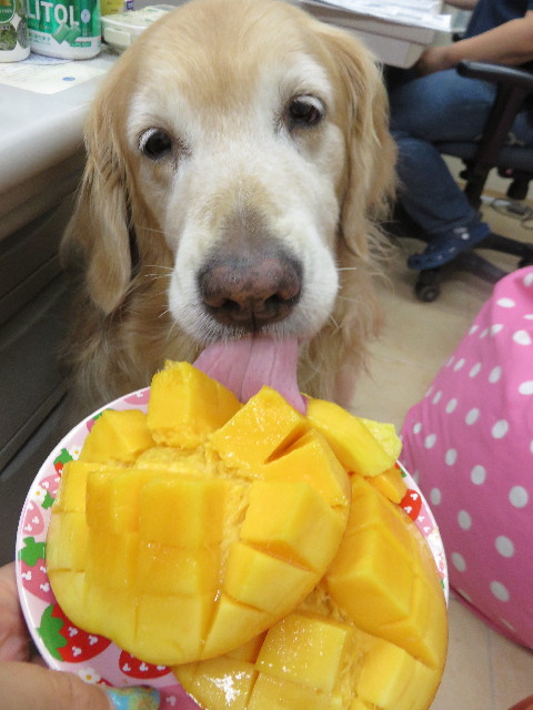 ファイル 4426-5.jpg