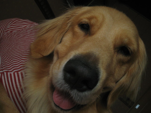 ファイル 443-1.jpg