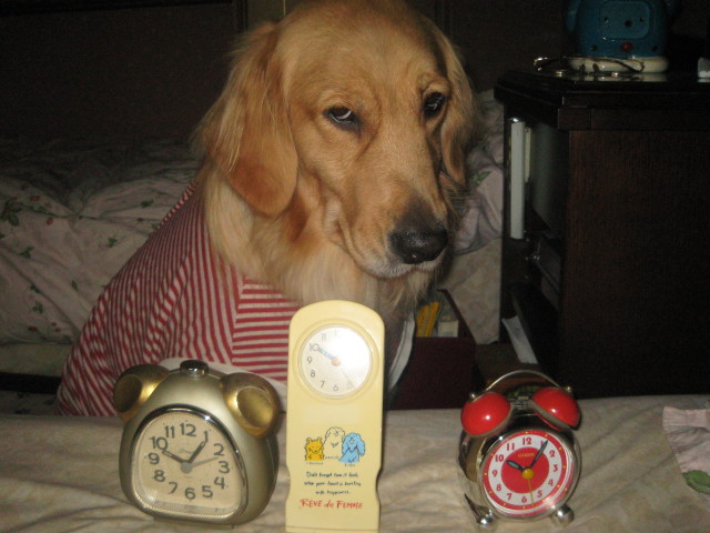 ファイル 443-5.jpg