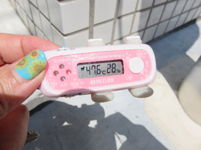 ファイル 4434-1.jpg