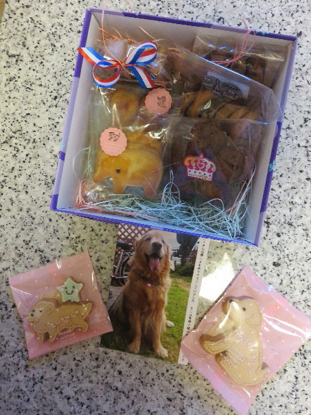 ファイル 4434-5.jpg