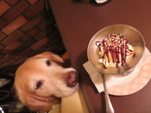 ファイル 4435-3.jpg