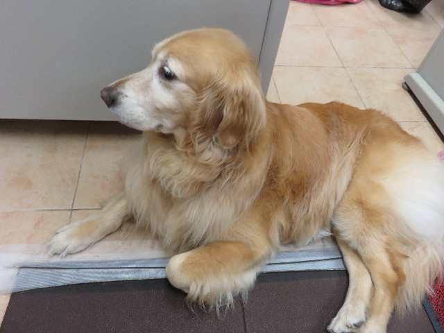 ファイル 4435-4.jpg