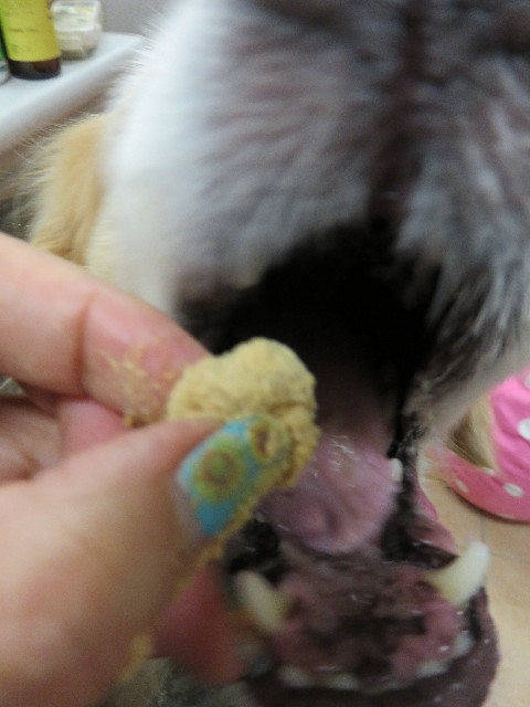 ファイル 4436-3.jpg