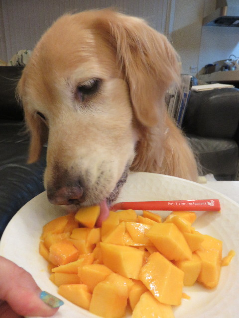 ファイル 4437-2.jpg