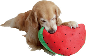 ファイル 4437-3.jpg