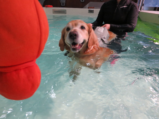 ファイル 4445-2.jpg