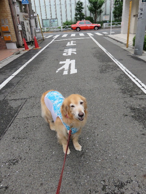 ファイル 4447-4.jpg