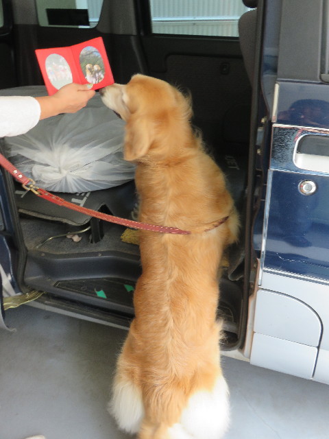 ファイル 4449-3.jpg