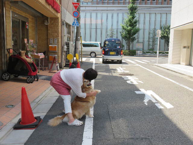 ファイル 4449-4.jpg