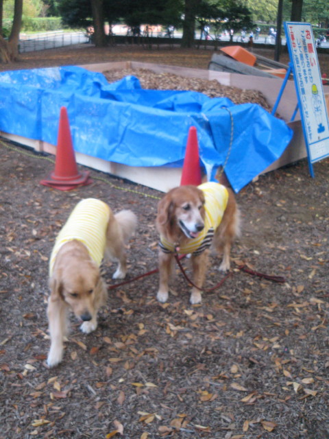 ファイル 445-2.jpg