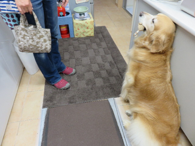 ファイル 4450-4.jpg