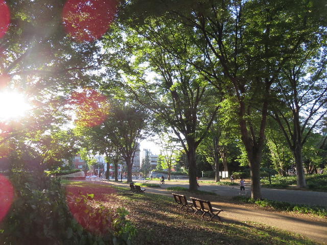 ファイル 4455-2.jpg