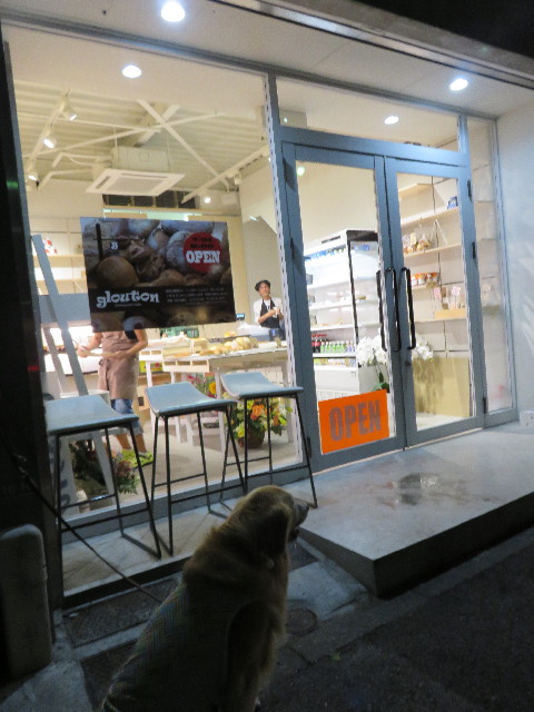 ファイル 4455-3.jpg