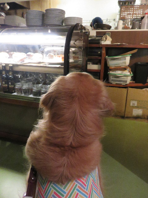 ファイル 4455-4.jpg