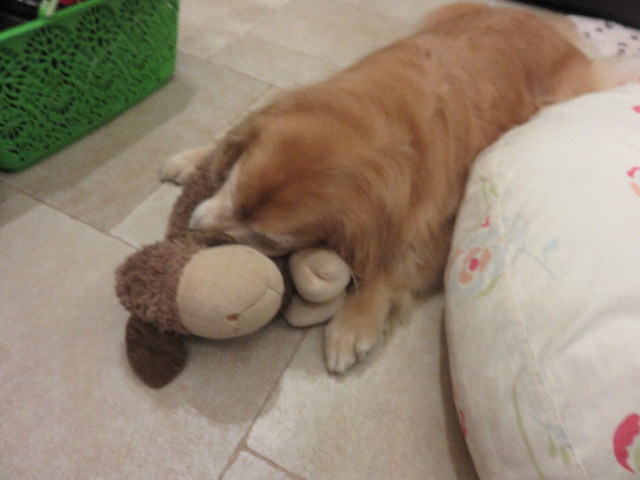 ファイル 4455-5.jpg