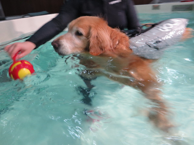 ファイル 4456-2.jpg